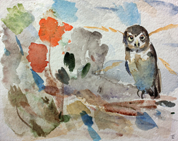 Owl in a landscape